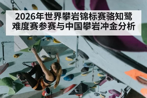 female climber climbing rock wall